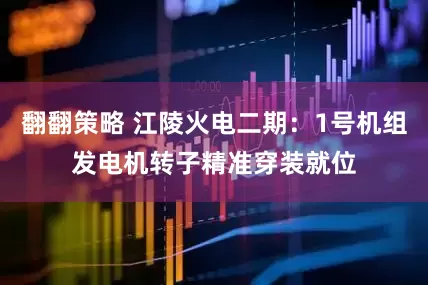 翻翻策略 江陵火电二期：1号机组发电机转子精准穿装就位